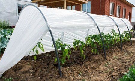 Агроволокно укрывное 50 UV Белое 3.2 х 100 м Рукав "AgroStar"