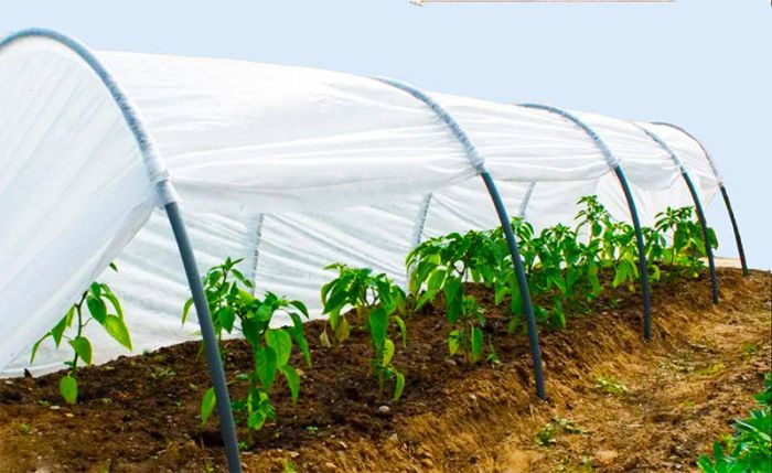 Агроволокно укрывное 50 UV Белое 3.2 х 100 м Рукав "AgroStar"