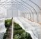 Агроволокно укрывное 50 UV Белое 3.2 х 10 м "AgroStar"