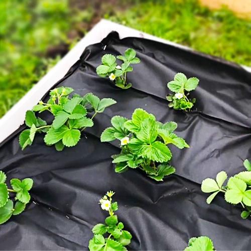 Агроволокно укрывное 100 UV Черное 3.2 х 50 м "AgroStar"