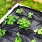 Агроволокно укрывное 100 UV Черное 1.6 х 50 м "AgroStar"